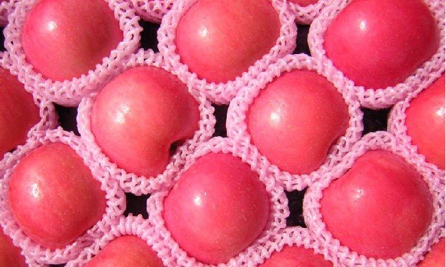 Fresh Fuji Apples----2010 New Crops