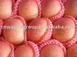 2011 Chinese Yantai fresh red Fuji apple supply