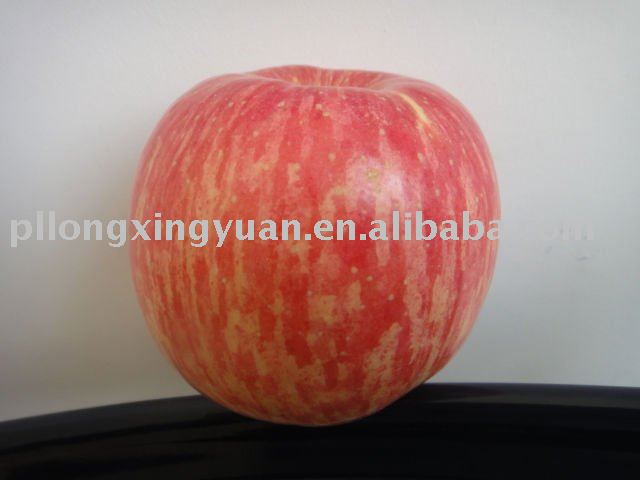 shandong fuji apple