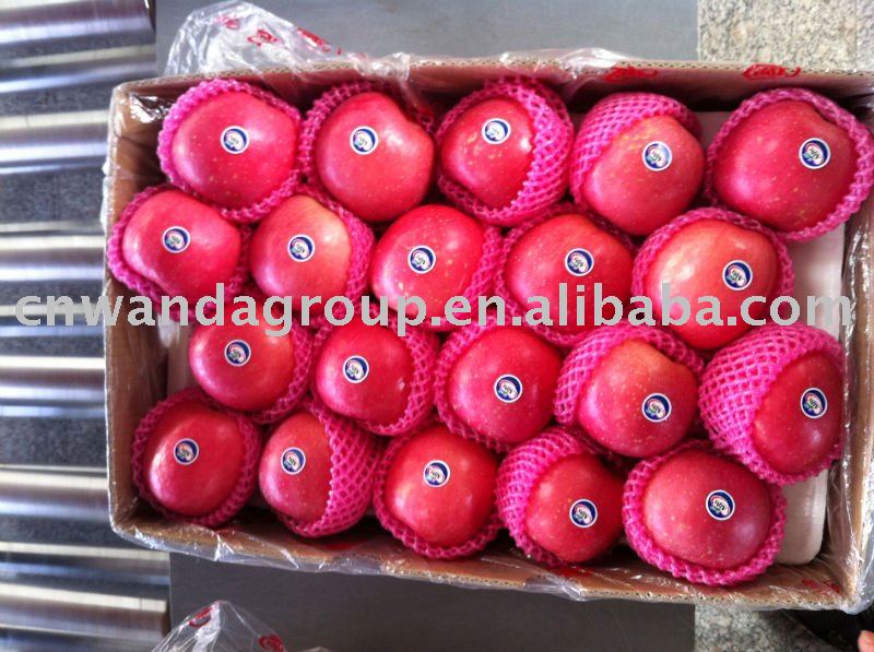 Chinese fresh red fuji apple 2011 new sell