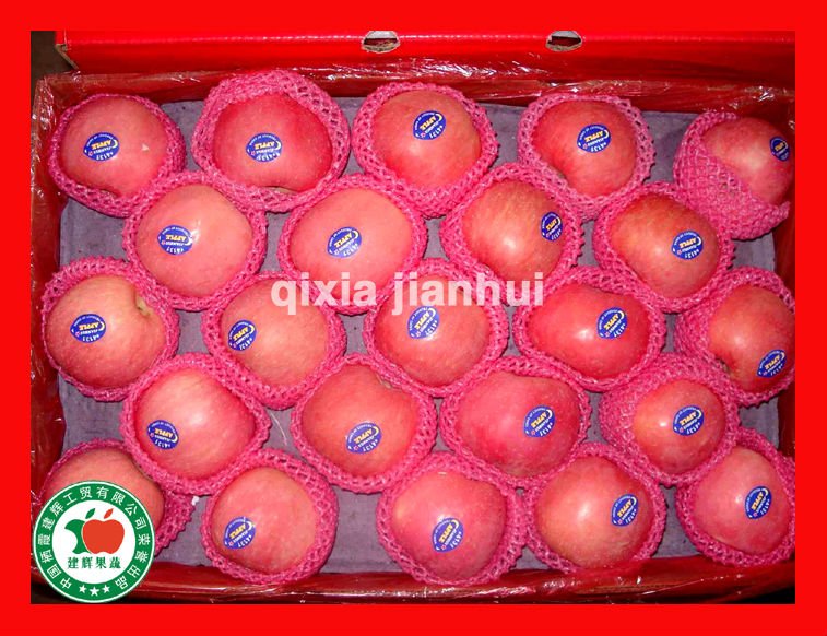 fresh fuji apple of good quality and best price