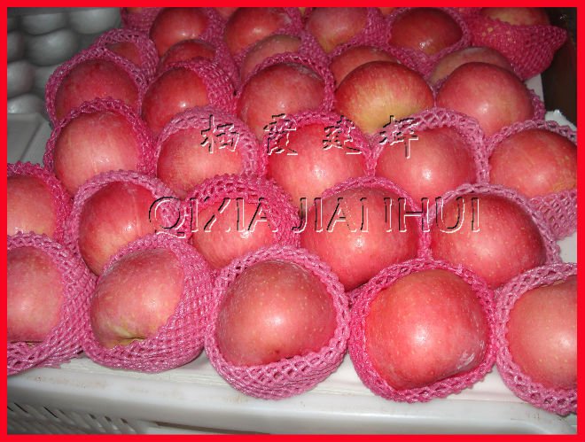 SHANDONG FRESH RED FUJI APPLE OF HIGH QUALITY AND GOOD PRICE