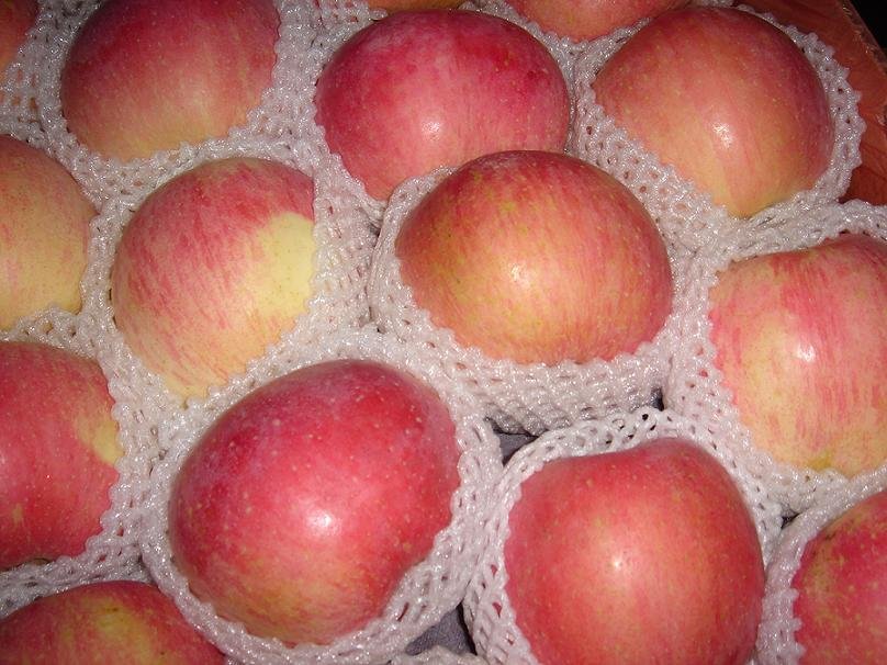 bright red gala apple