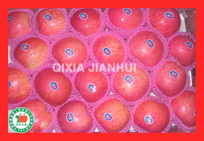 2010 New Crop Top Quality fresh red apple of good price