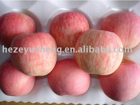 fresh red star apple red apple