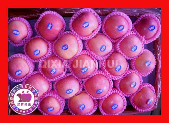 shandong Fresh Fuji Apple of high quality and good price