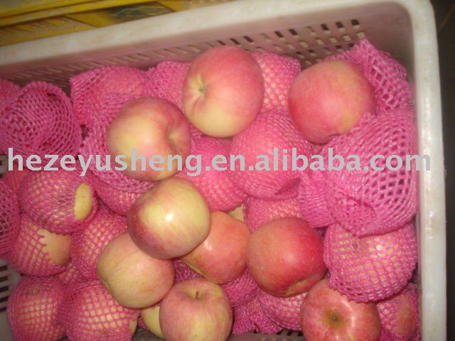 15kg carton china fuji apple