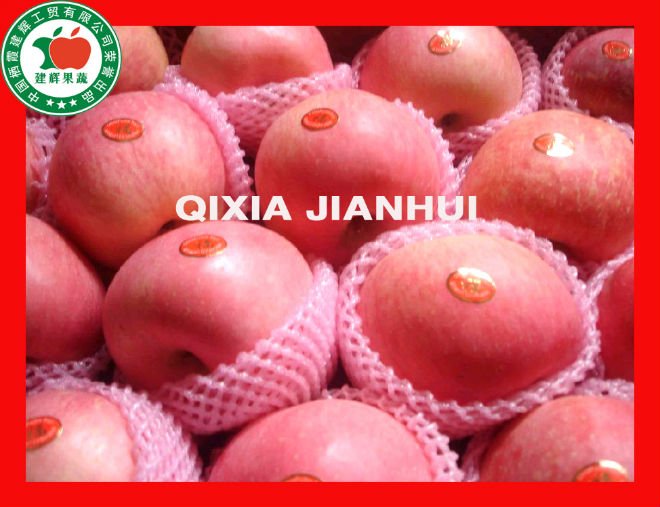 Chinese Fresh Apple of Big Size, high quality and various packing