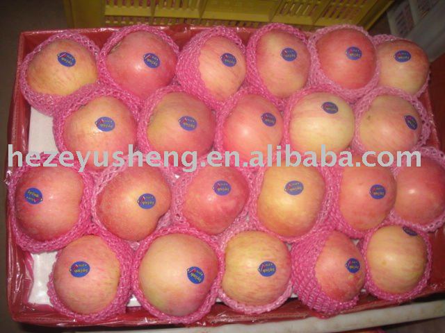 20kg carton fresh red fuji apple
