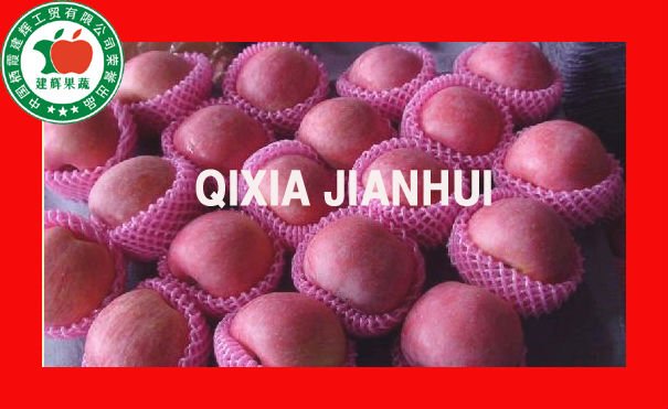 2010 new crop Chinese yantai  Red Fuji apple of Big Size and various packing