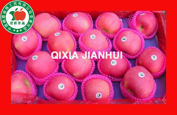 2010 NEW CHINESE FRESH FUJI APPLE OF BLUSH AND STRIPE  COLOUR