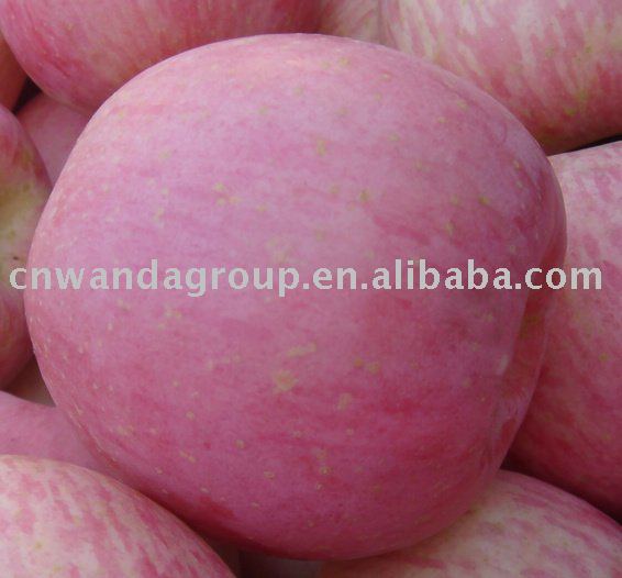  fresh   chinese   apple 