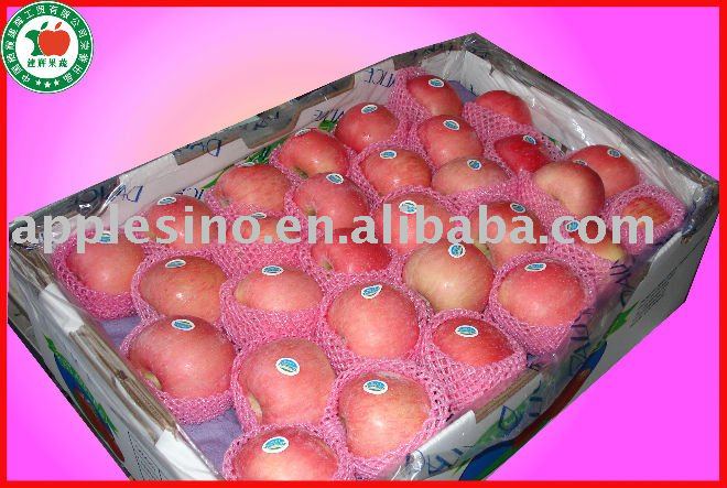 2010 new crop High quality Red fuji Apple of  Size  72/80/88/100/113/125/135/150#