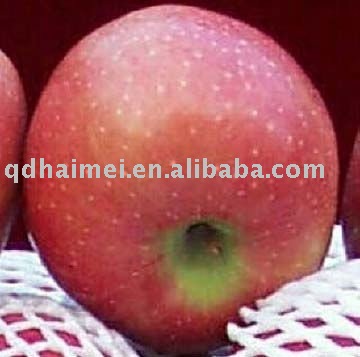 2010 Chinese Fresh Fuji Apple Top Grade