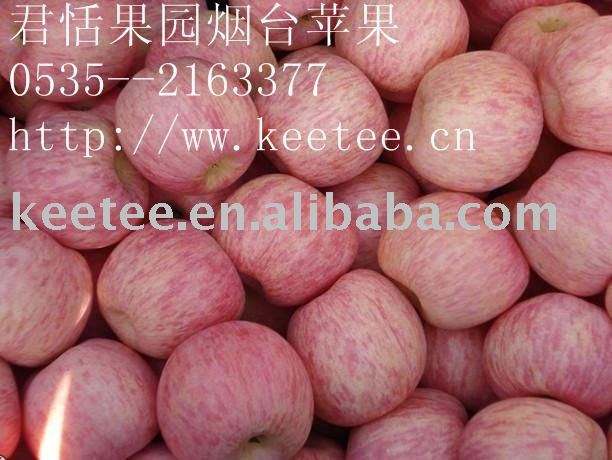 Chinese Fresh Apples beautiful  red   colour  juicy