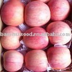 Chinese Red Fuji  Apple