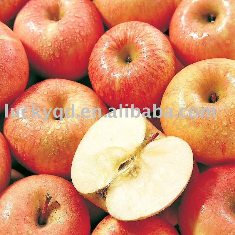 yantai apple 88 size