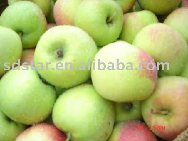 early  apple(fresh apple)