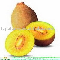 fresh  golden kiwi fruit