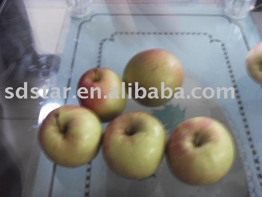apple(gala apple)