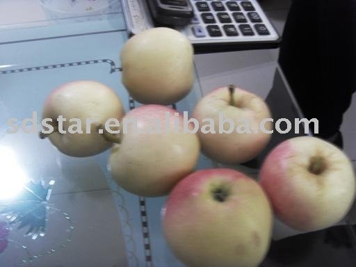 sell chinese fresh apple(gala apple)