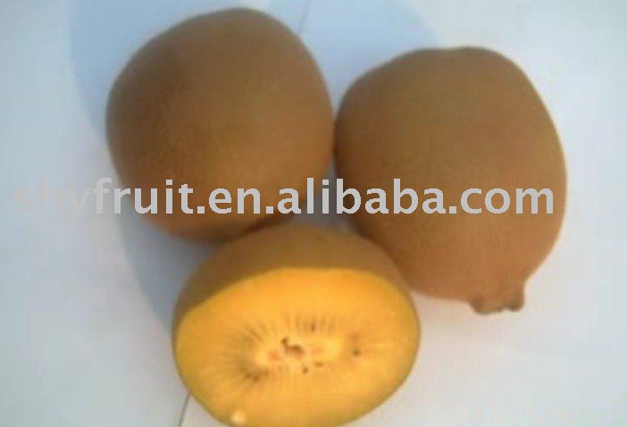 golden flesh kiwi fruit