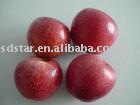 Red Apple