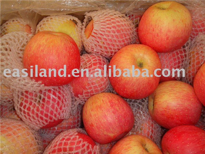 FRUIT   APPLE   CARTONS  PARKAGING NO.22