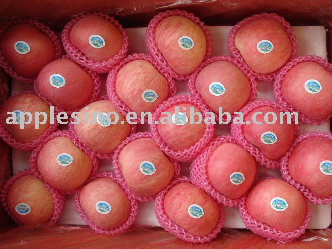 Fresh Fuji Apple of blush red or stripe red colour