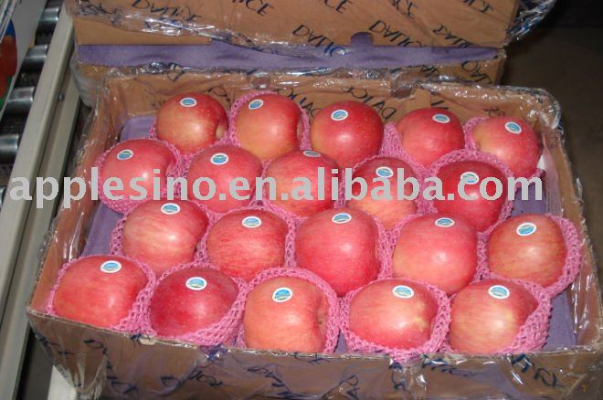 FRESH RED FUJI APPLE OF BIG SIZE AND BLUSH OR STRIPE COLOUR