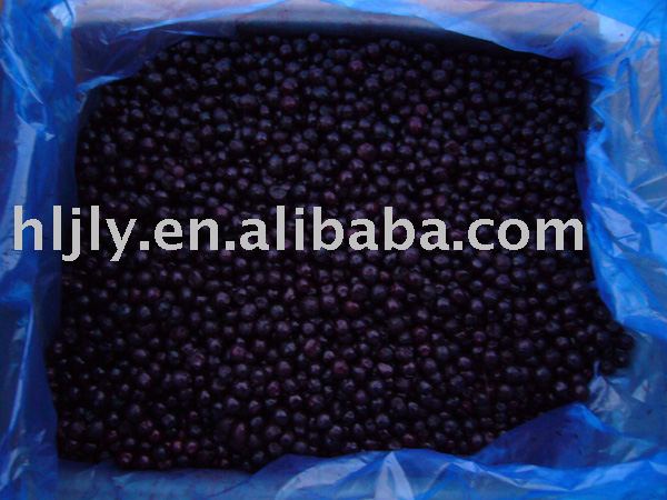 IQF wild blueberry