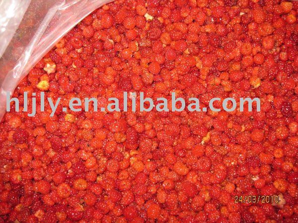 frozen  wild   raspberry 