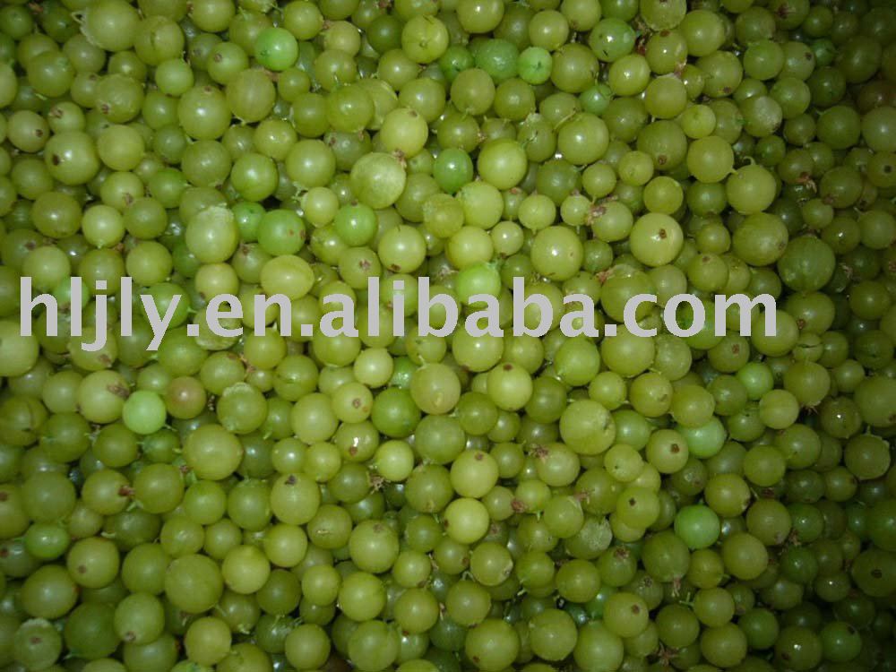 IQF gooseberry
