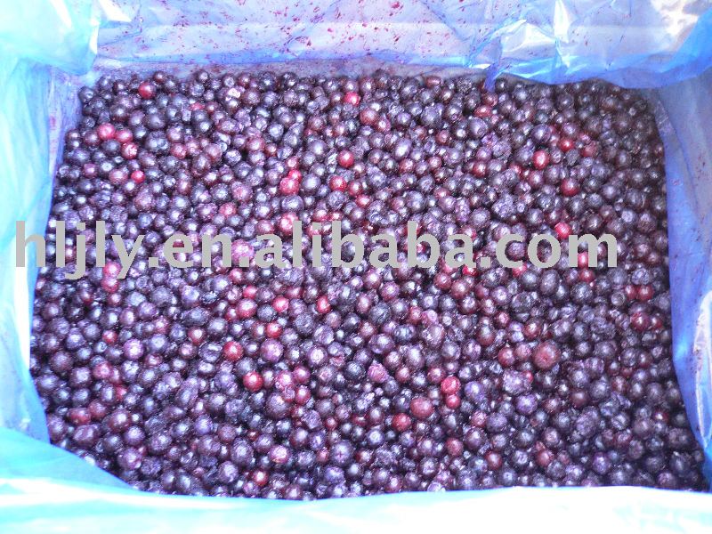 Frozen wild blueberry