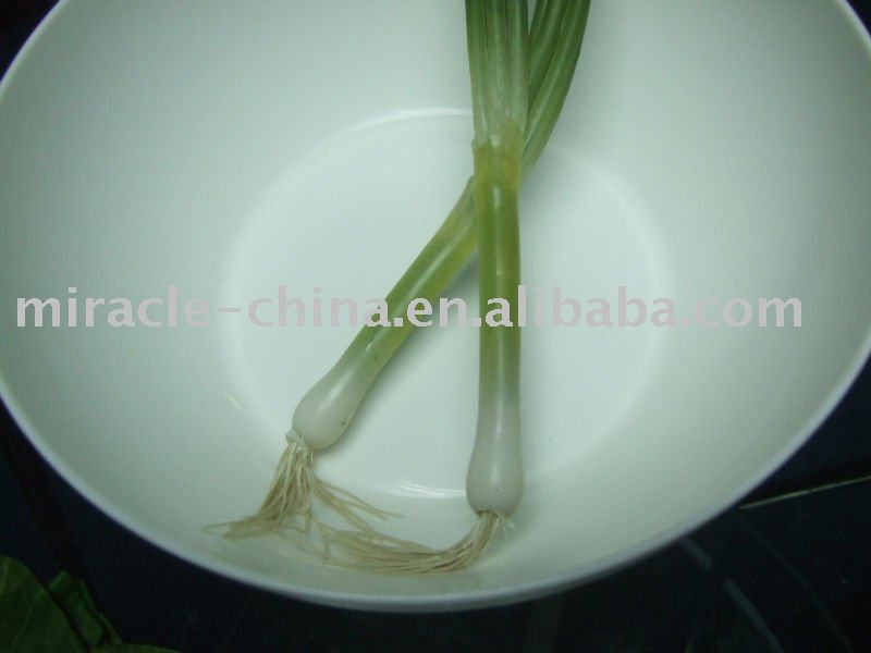simulation shallot SC006