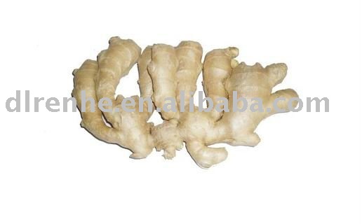 super quality dried ginger(vegetable Shandong China)