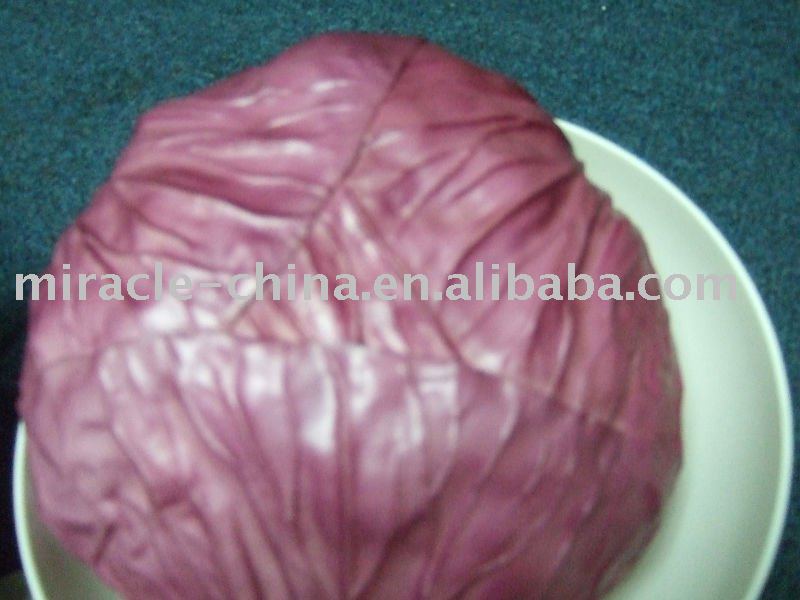 simulation  cabbage  SC007