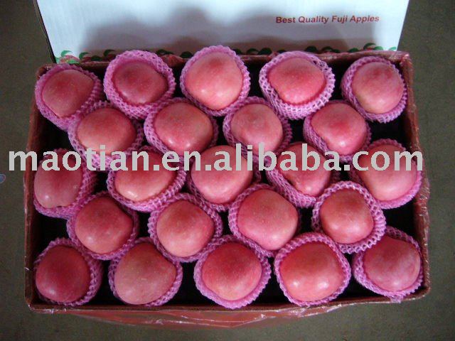 China Fresh Apples113#