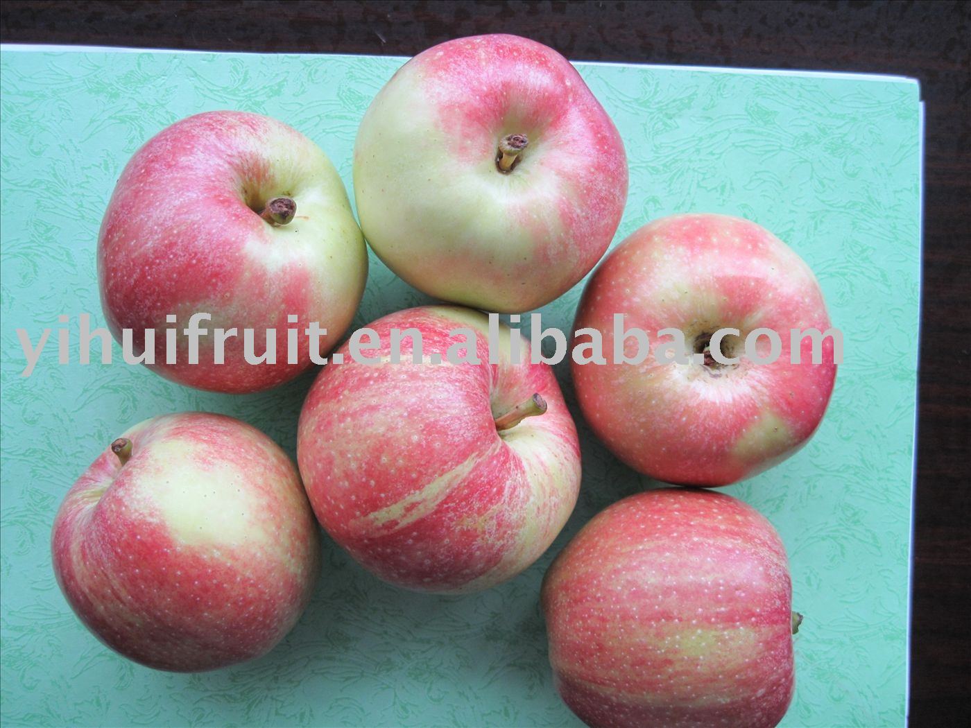 Gala apple 05