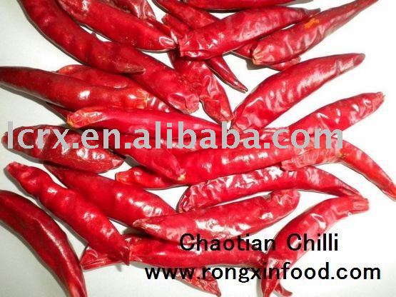 Chaotian Chili