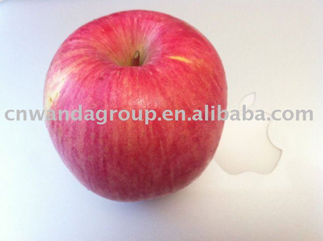new Avrial apple supply Chinese Yantai fresh red Fuji apple 2011