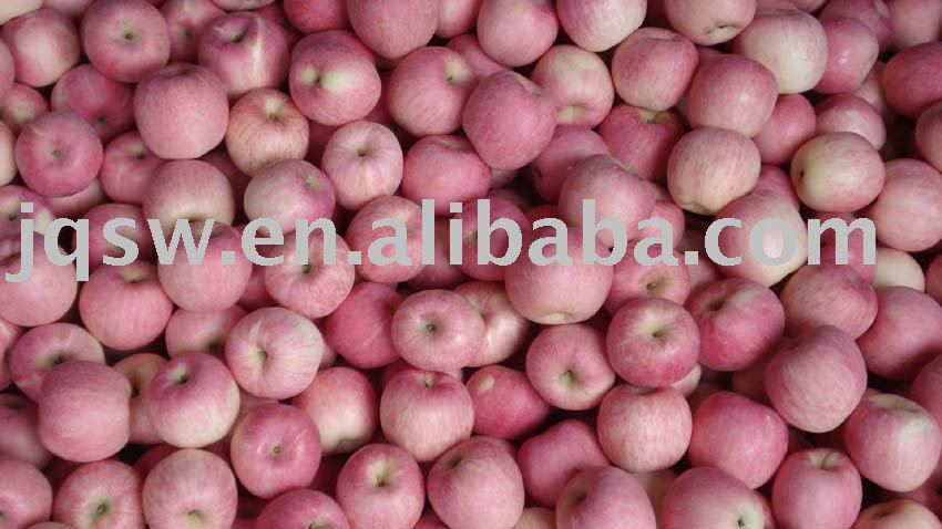  blush   red   fuji   apple 