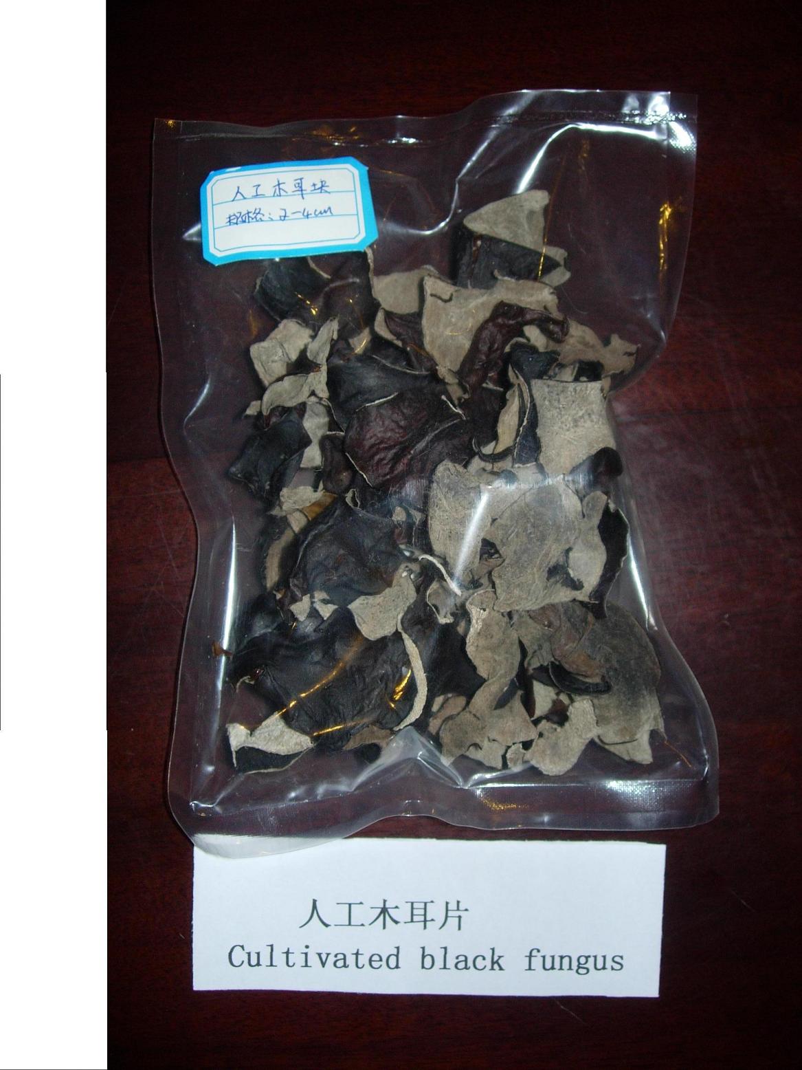 cultivated black fungus