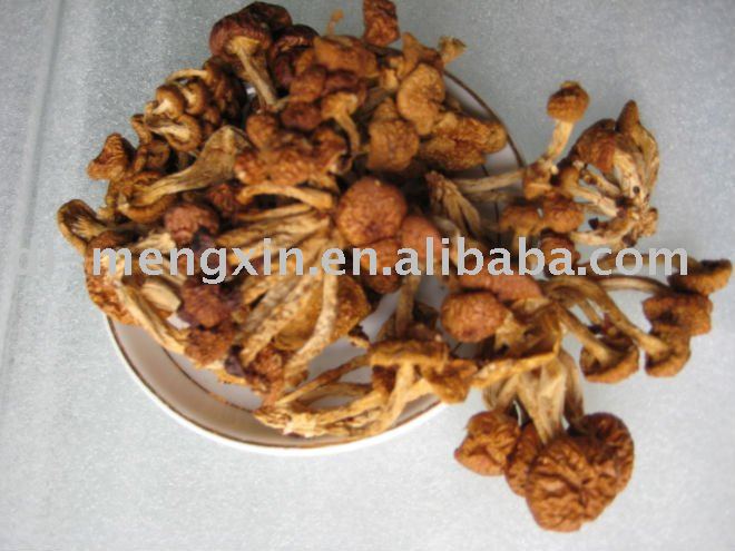 dried nameko