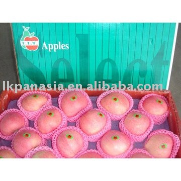 Class 1 Fuji Apple