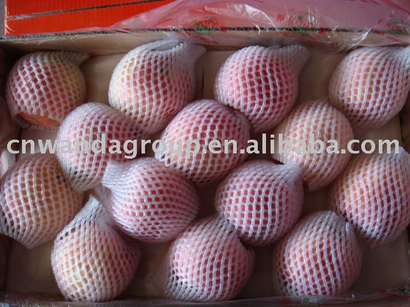 red  Fuji   apple   From   Yantai 