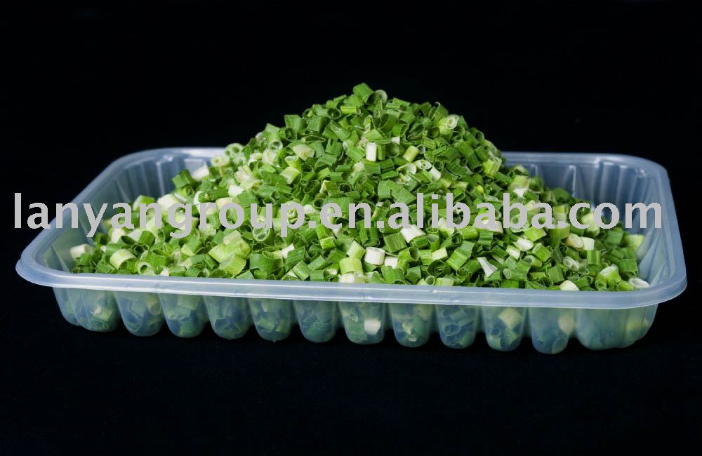 FD Spring onion,China TIAN CHENG price supplier - 21food