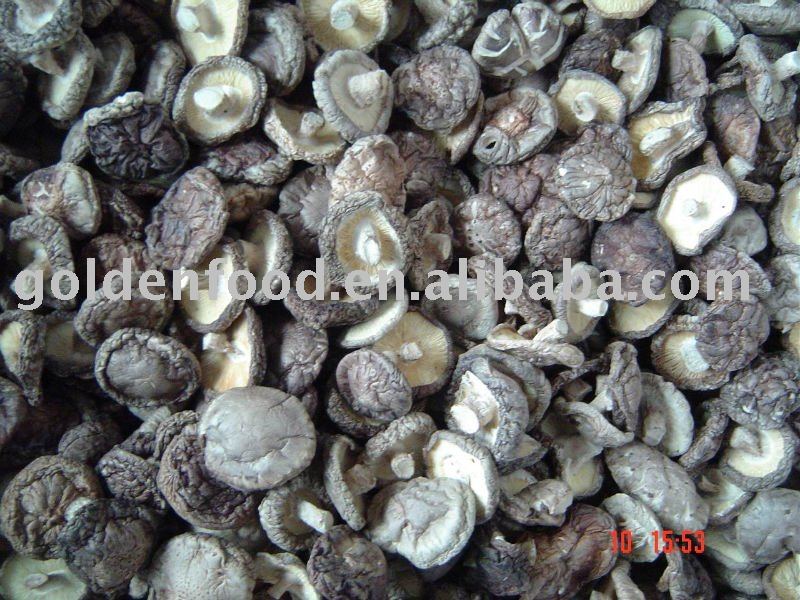 chinese dried mushroom fugus whole