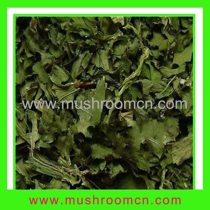 Spinach Leaves