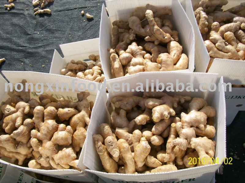 air- dry ginger